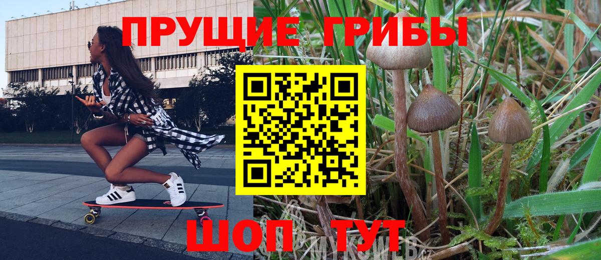 Псилоцибиновые грибы Psilocybine cubensis  Вход с VPN  Тихвин 