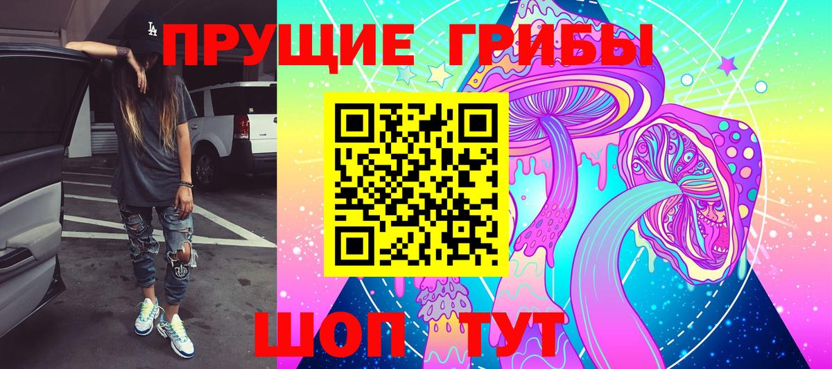 Псилоцибиновые грибы мицелий Тихвин