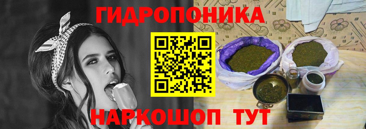 Канабис Ganja  Вход с VPN  Конопля план  Тихвин  Бошки марихуана THC 21% 